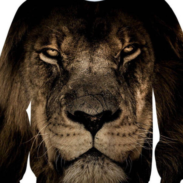 Pull Lion Royaume - Image 2