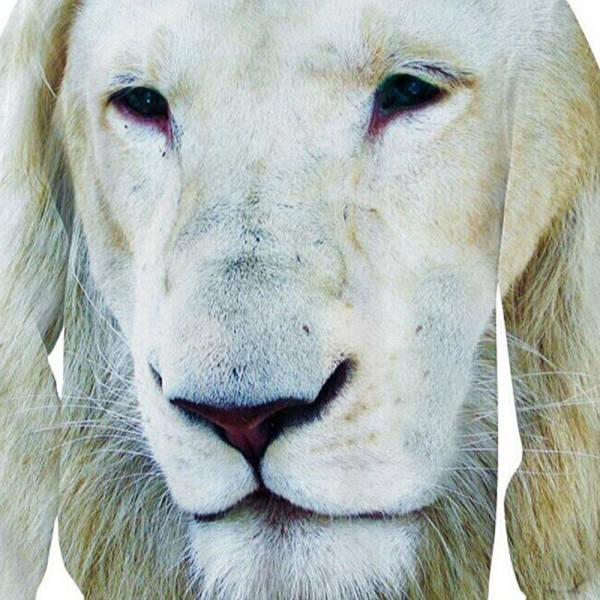 Pull Lion Blanc - Image 2