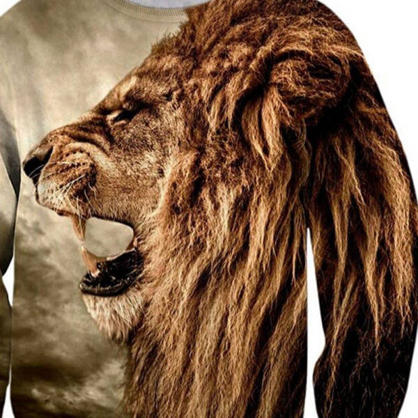 Pull Lion 3D - Image 2