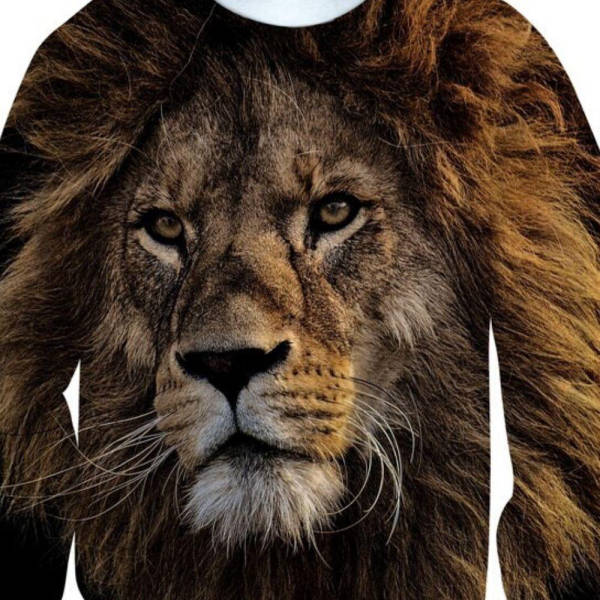 Pull Lion Redoutable - Image 2
