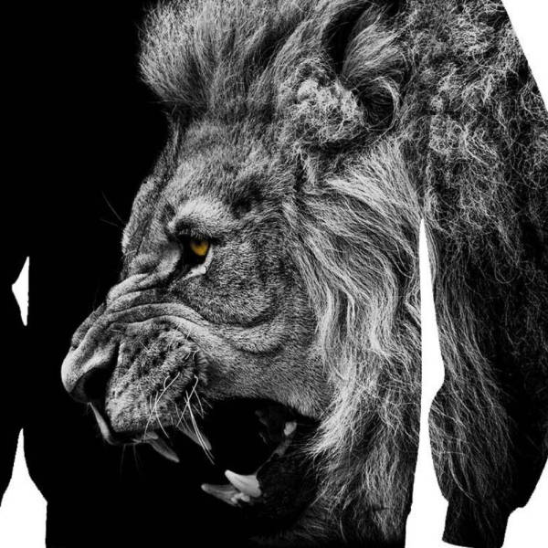Pull Lion Insoumis - Image 2