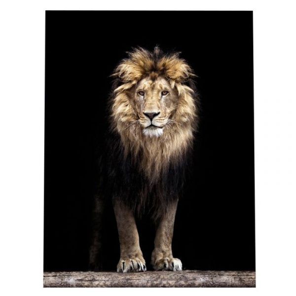 Tableau Abstrait Lion - Image 3